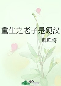 《重生之老子是硬漢》