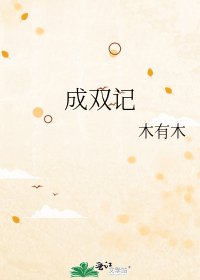 成双记