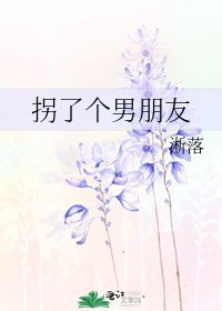 《拐了个男朋友》