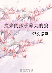 捡来的孩子养大的狼