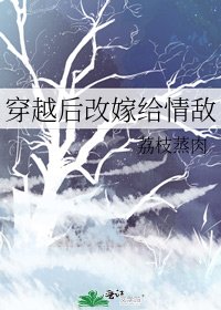 《穿越后改嫁给情敌》