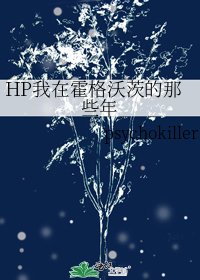 《HP我在霍格沃茨的那些年》