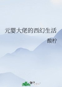 《元婴大佬的西幻生活》
