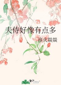 《夫侍好像有点多》
