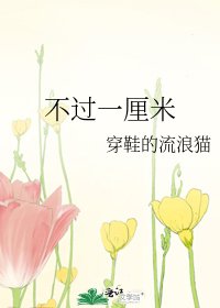 不过一厘米