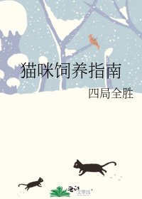 《猫咪饲养指南》
