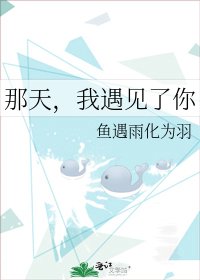《那天,我遇见了你》
