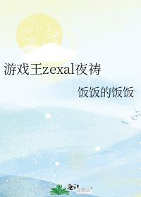 《游戏王zexal夜祷》
