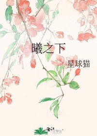 《曦之下》
