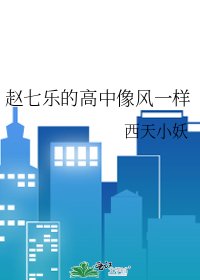 《赵七乐的高中像风一样》