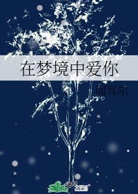 《在梦境中爱你》
