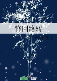 《锋回路转》