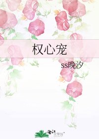 《权心宠》