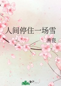 《人间停住一场雪》