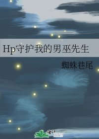 《Hp守护我的男巫先生》