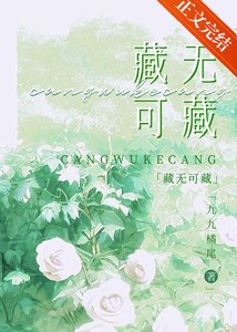 《藏无可藏》