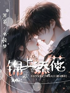 《锦上添花》
