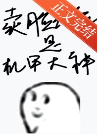 賣臉花瓶是機甲大神
