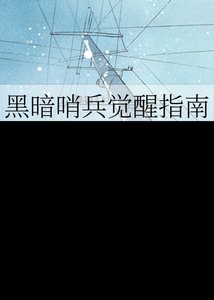 《黑暗哨兵觉醒指南》