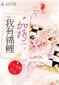《我有锦鲤加持》