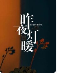 《昨夜灯暖》