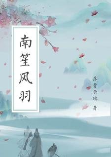 《南笙风羽》