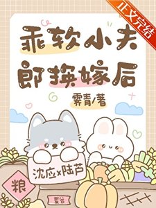 《乖软小夫郎换嫁后》