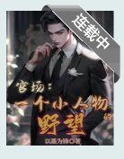 官场:一个小人物的野望