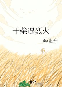 《干柴遇烈火》