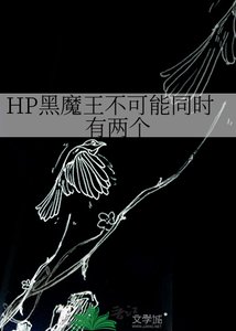 《HP黑魔王不可能同时有两个》