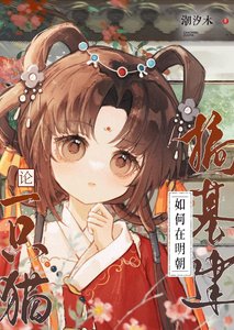 论一只猫如何在明朝搞基建