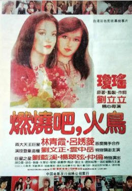 燃燒吧!火鳥(出版書)