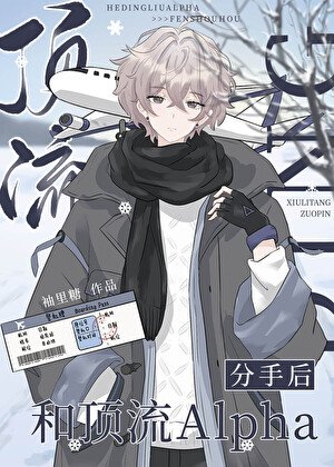 《和顶流Alpha分手后》