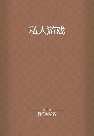 《私人游戏》