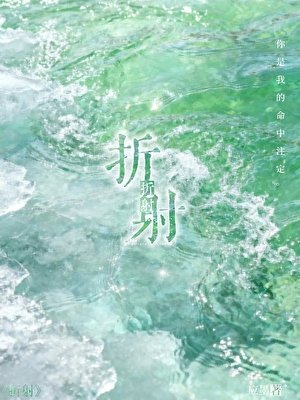 《折射》