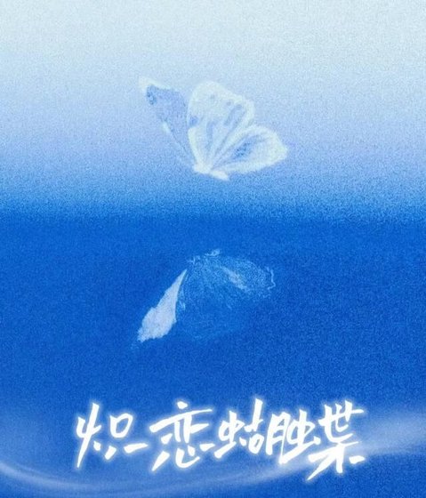 炽恋蝴蝶