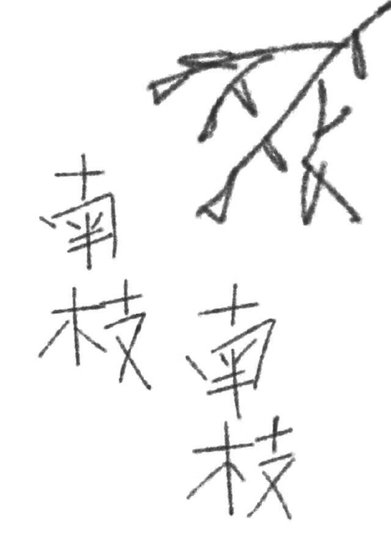 南枝，南枝