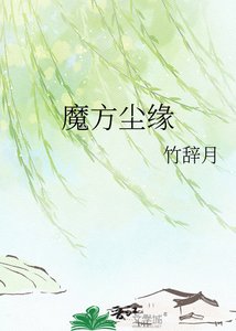 《魔方尘缘》