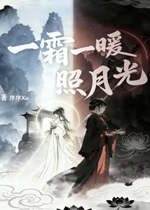 《一霜一暖照月光》