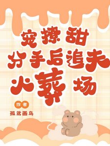寵!撩!甜!分手後追夫火葬場