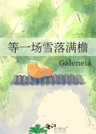等一场雪落满檐