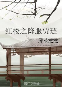 （BG/红楼同人）红楼之降服贾琏