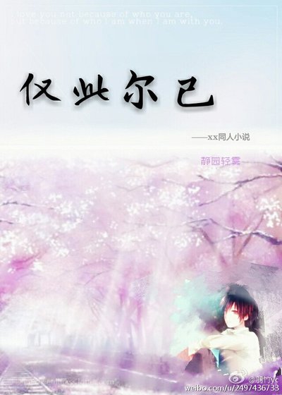 《(BL/火影同人)仅此尔已》