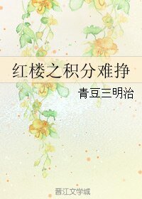 《(BG/红楼同人)红楼之积分难挣》