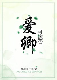 《爱卿,可嫁否》