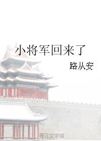 《小将军回来了》