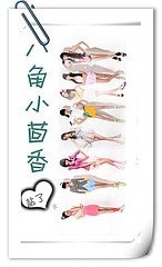 《八角小茴香(GL)》