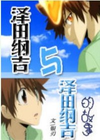 《(家教同人)泽田纲吉与泽田纲吉的故事》