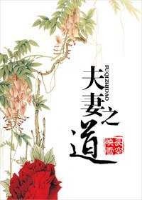 《夫妻之道》
