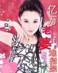 《亿万老婆难招架》